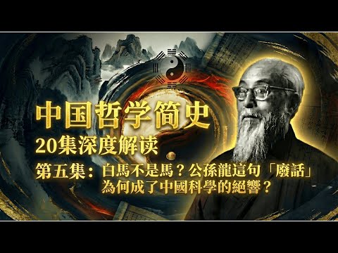為什麼你在網上總吵不過「槓精」？因為你中了三種「邏輯病毒」（中國哲學簡史05）