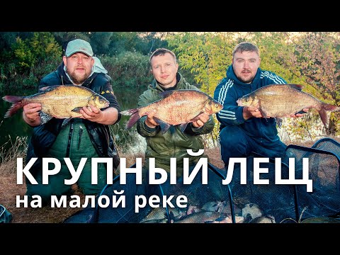 Ловля леща на малой реке. Крупный лещ, ночная рыбалка.