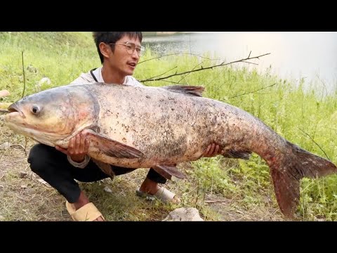 探钓水库垂钓巨物！黄金钓位又钓上百斤大翘嘴，丰收的一天！【小宋野钓】