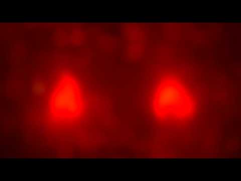 Deep Warm Color Noise + 12Hz Alpha Waves - audio massage - 5+ Hours