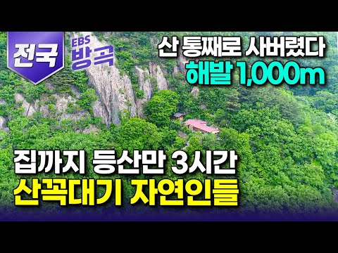[전국] "첫눈에 반해 산 통째로 샀다" 집까지 등산만 3시간! 속세 떠나 하늘을 앞마당 삼은 사람들┃산꼭대기 오지 살이 모아보기┃#한국기행 #방방곡곡