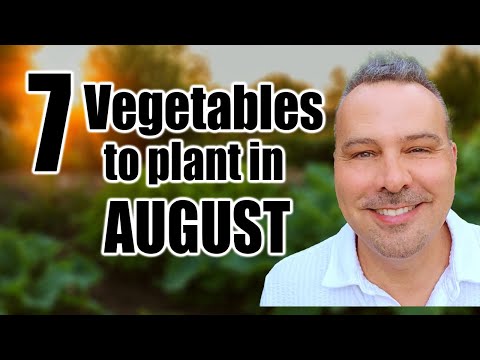 7 Crops to Direct Sow in August, Wherever You Live!