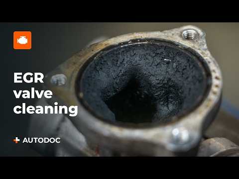 2 ways to clean the EGR valve – which one is better?