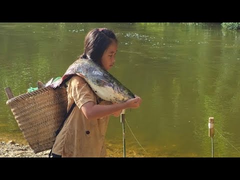 Traditional fishing skills, catch giant carp and catfish 8kg for sale
