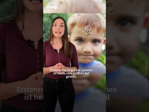 Woher kommt die Angst vor Spinnen? 🕷️