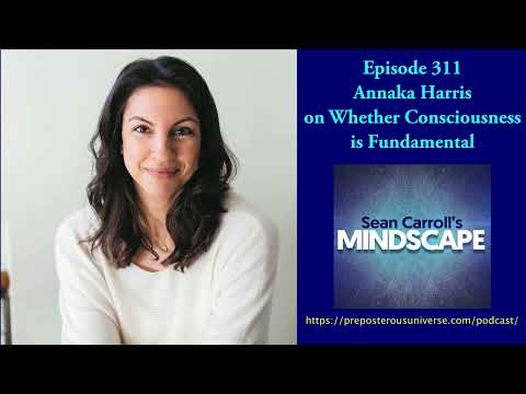 Mindscape 311 | Annaka Harris on Whether Consciousness Is Fundamental