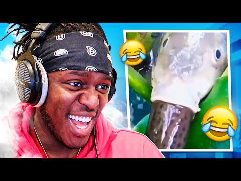 Try Not To Laugh (Inappropriate Edition)