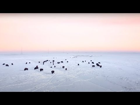 INTO THE LIGHT - Human Trafficking in Indigenous Communities in Alberta