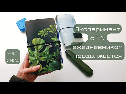 Стабилизировалась в формате записей | Самодельная обложка TN portable | эпизод 2
