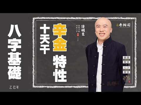 四柱八字 | 十天干基礎：辛金特性《八字解密》(字幕版)