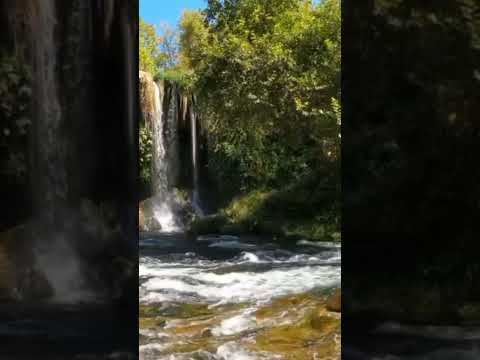 يا حي يا قيوم برحمتك التي وسعت كل شيء استغيث اللهم صل وسلم على نبينا محمد #قران_كريم