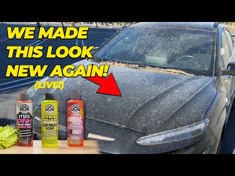Watch This Car Go From FILTHY To FLAWLESS (Recorded LIVE!)