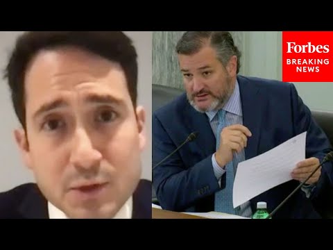 'How Do You Explain These Tweets?': Ted Cruz Confronts 'Extremist' Biden Nominee During Hearing