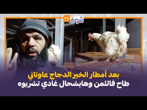من قلب سوق الدواجن.:بعد أمطار الخير الدجاج عاوتاني طاح فالثمن وهابشحال غادي تشريوه