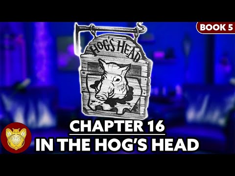 Chapter 16: In the Hogs Head | Order of the Phoenix