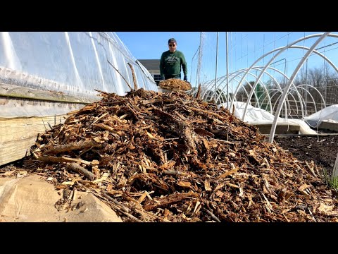 在打造有机菜园吗？也许你需要更多的免费碎木屑，我是这样用的 | Free Wood Chips