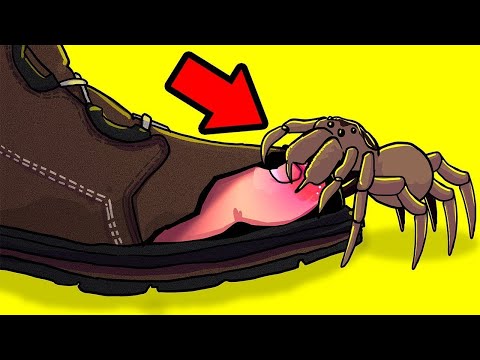 Horrifying Animals You Should Avoid At All Costs