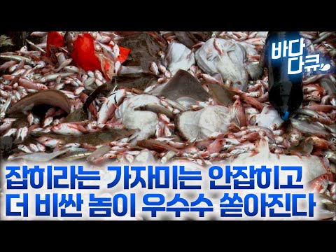 Instead of the flounder that hadn't been caught for days, more expensive ones started coming up /...