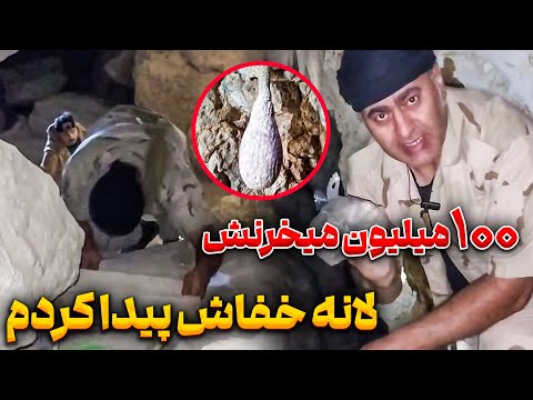 فرخ حرف خودش رو تکذیب کرد❗😳 جیوه قرمز و لانه خفاش وجود داره🤯😲