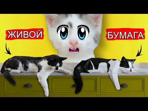 КОТ МАЛЫШ из БУМАГИ! КАК СДЕЛАТЬ 3Д КОТА САМОДЕЛКУ СВОИМИ РУКАМИ