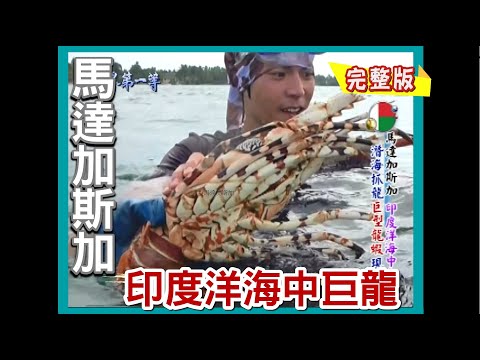 【馬達加斯加】印度洋抓龍高手 龍蝦王/沙地洞穴怪螃蟹海中巨象 鯨魚/國慶派對好嗨｜《世界第一等》  468集完整版