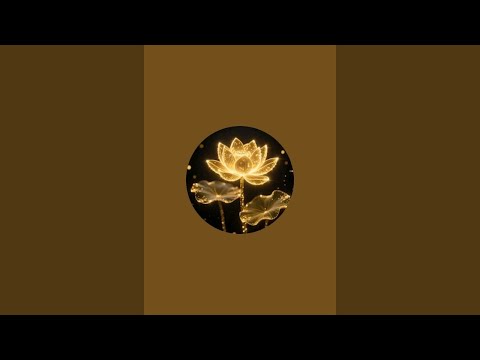 竹東師善堂法會20251220