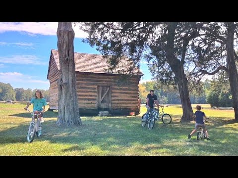 Felling a Giant Pine Next to a Log Cabin