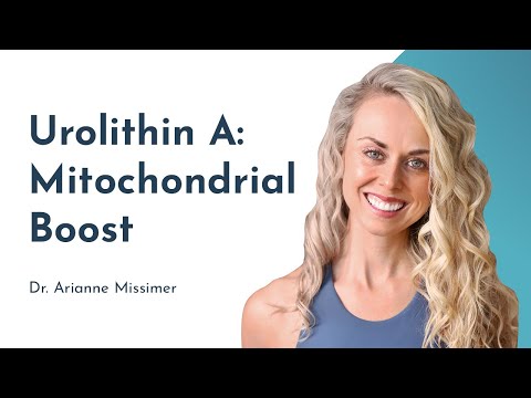 Urolithin A: A Postbiotic Revolution in Mitochondrial Health