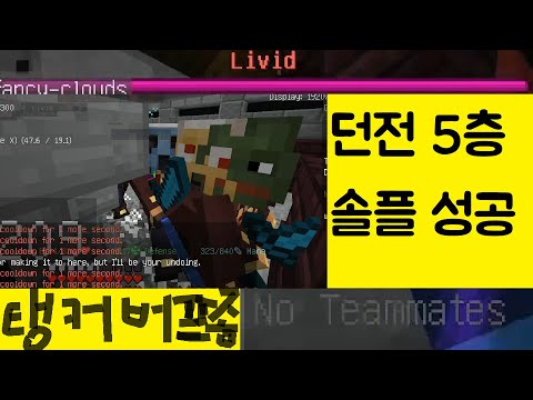 던전 5층 (livid)탱커로 솔플(하이픽셀 스카이블럭)