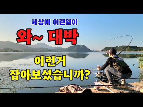 2년만에 잡았습니다//대박사건