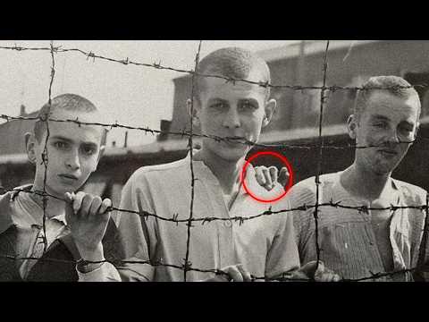 Jasenovac: El Campo que HORRORIZÓ a los propios NAZIS - Segunda Guerra Mundial
