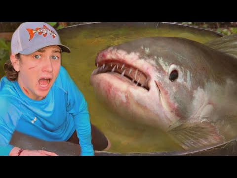 내 물고기 공격한 괴물, 결국 잡았다!