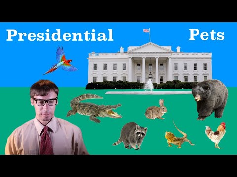 All the Presidents' Pets