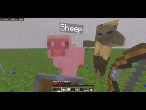 Bet you can beat this sheep