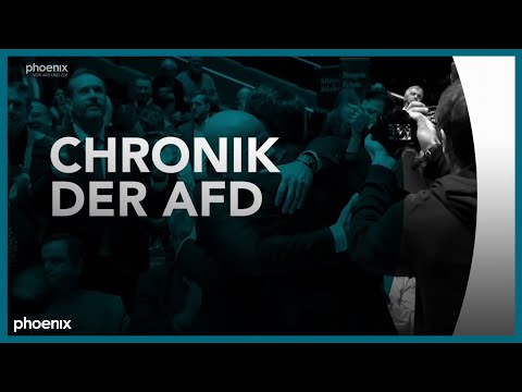 Chronik der AfD | phoenix plus
