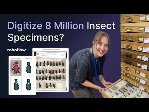 How The Field Museum Unlocks New Research Possibilities with Vision AI