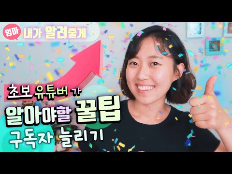 초보 유튜버가 꼭 알아야 할 꿀팁들.  구독자 늘리는 방법과 시작 7개월 후기.