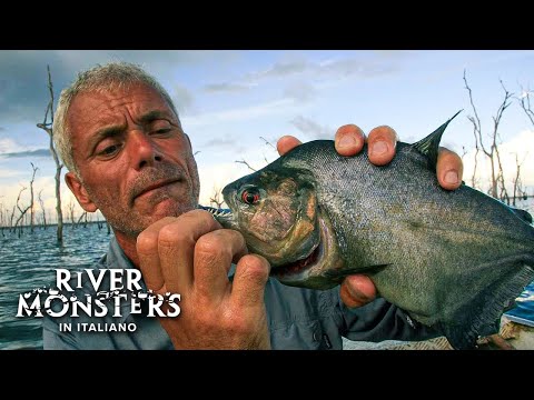 Jeremy Wade a Caccia di PIRANHA! - River Monsters ITA - S01 E01