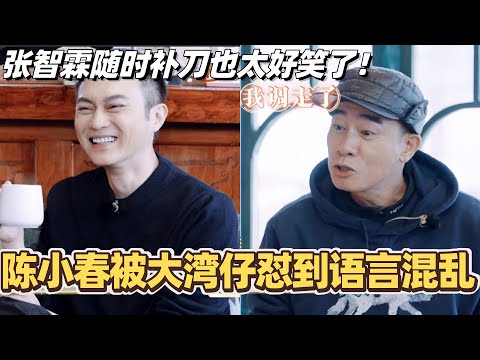 陈小春被大湾仔怼到语言混乱？张智霖随时随地补刀也太好笑了！#陈小春 #张智霖 #林晓峰 #谢天华 #吴卓羲 #周柏豪 #大湾仔的夜