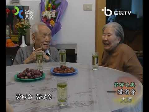 数学之美 陈省身 谨以此片缅怀国际数学大师陈省身先生