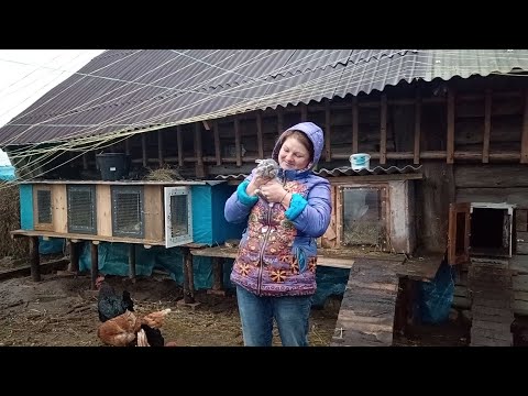 Abandoned villages and farmsteads in Belarus, but some are still bustling with life...