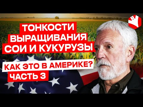 The intricacies of growing soybeans and corn | Crop production