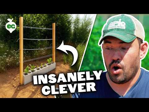 Pro Gardener Reacts to Unconventional Gardening Hacks