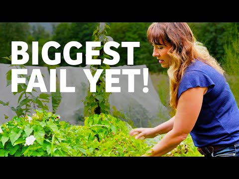 Trying to Grow More Food with Less Work? Watch This First (July Garden Tour)
