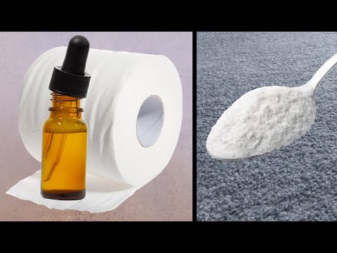 14 Natural Ways To Make Your Home Smell Amazing