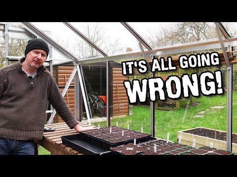 Did I break our potatoes? ...and did our bottlebrush plant survive winter?