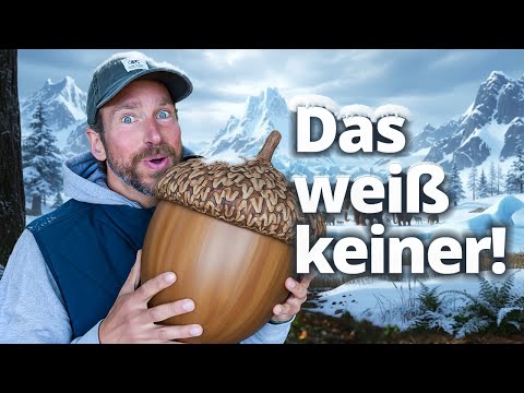 Eicheln: gesünder als Oliven und Avocado zusammen!