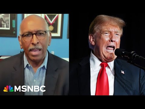 'Boneheaded advice': Steele slams people telling Biden to ignore Trump verdict