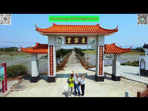 台山百曉：今日分享視頻拍攝地點是台山市端芬鎮東寧村與斗山鎮美南村，這兩條古村落各有其獨特之處，東寧村形似一彎月，而美南村則四四方方，找到親人的祖宅內心無比感動！#台山 #taishanese #熱門