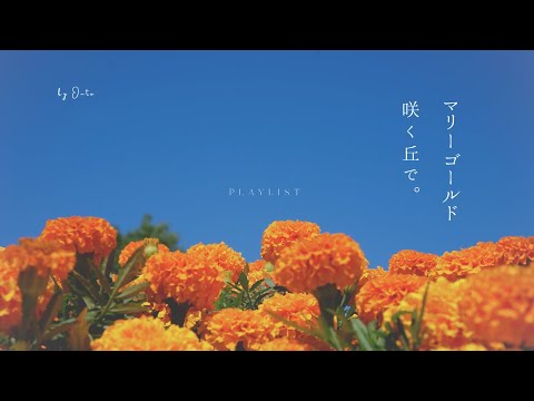 [Playlist] Sunny Day Vibes on the Marigold Hill 🍊 | Songs for Studying & Relaxing (No Ads)